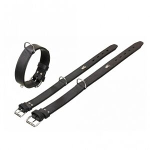 Karlie Rondo Halsband mit Ring für Adresstube - Schwarz - 70 cm/40mm