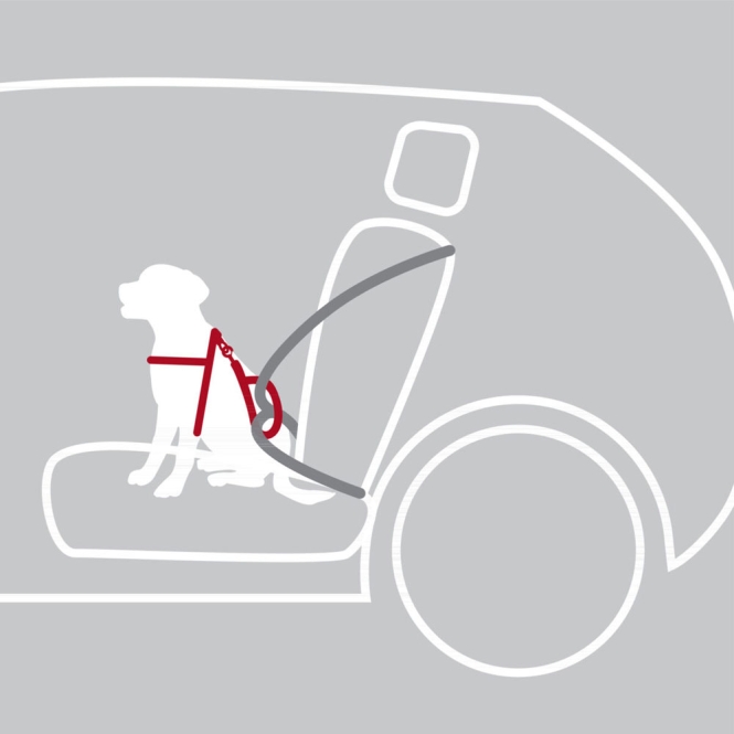 Trixie Auto-Sicherheitsgeschirr Dog Protect - M: 50-65 cm – Bild 4