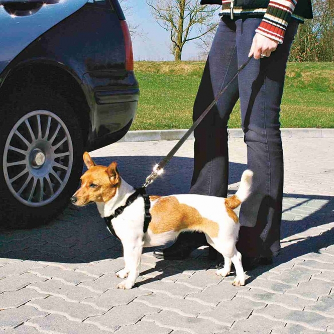 Trixie Auto-Sicherheitsgeschirr - S – Bild 2