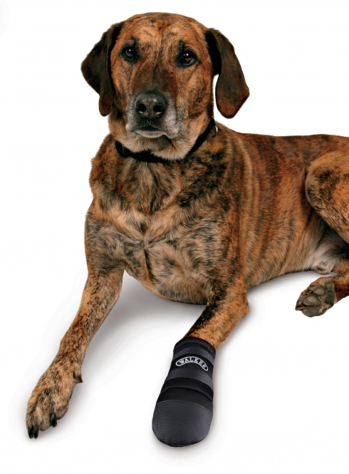 Trixie Walker Care Pfotenschutz-Stiefel - S – Bild 4