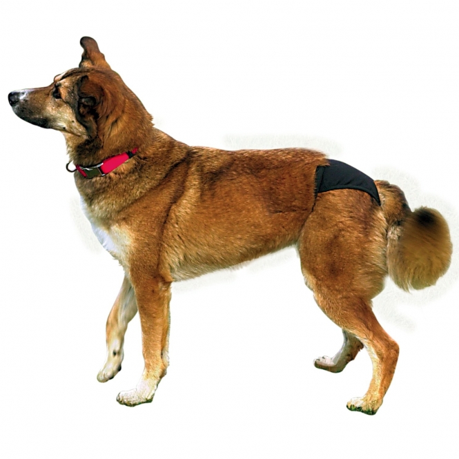 Trixie Schutzhöschen - Schwarz - XL – Bild 2