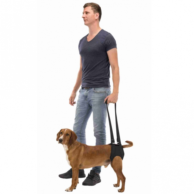 Trixie Gehhilfe - L-XL – Bild 2