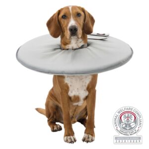 Trixie Schutzkragen - grau - XL / 60?64 cm