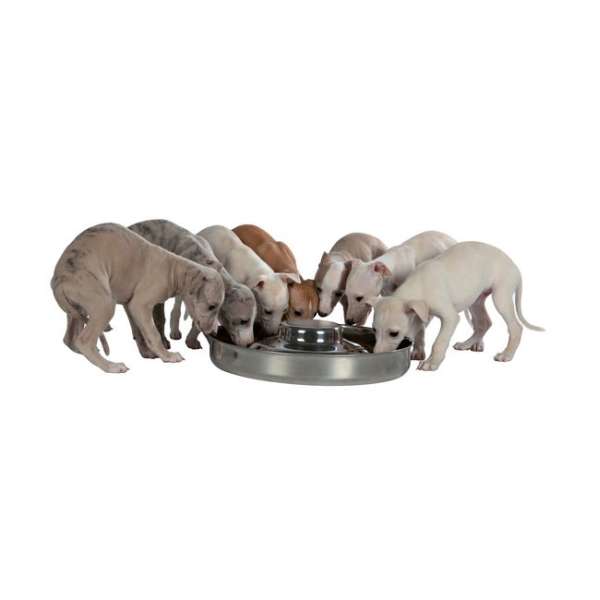 Trixie Edelstahl-Welpennapf - 4,0 l / 38 cm – Bild 2