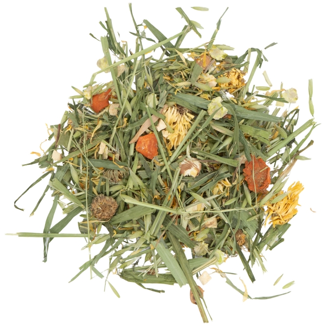 JR Farm Gemüse-Garten im Eimer 600 g – Bild 2