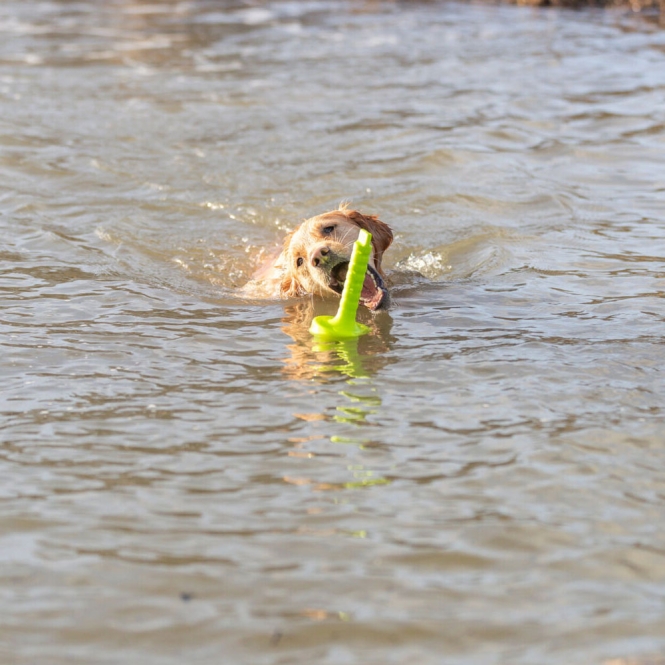 Trixie Aqua Toy MOT®-Aqua – Bild 3