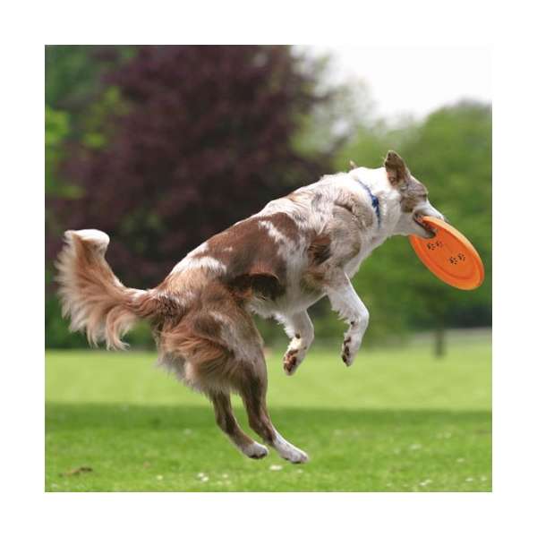 Trixie Dog Disc Frisbee bissfest - 23 cm – Bild 4