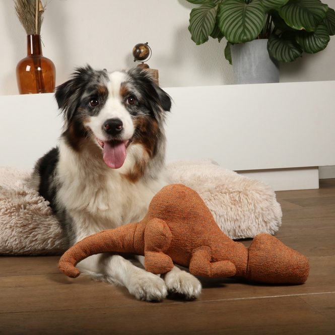 D&D Hundespielzeug Quasi Chenille - braun – Bild 4