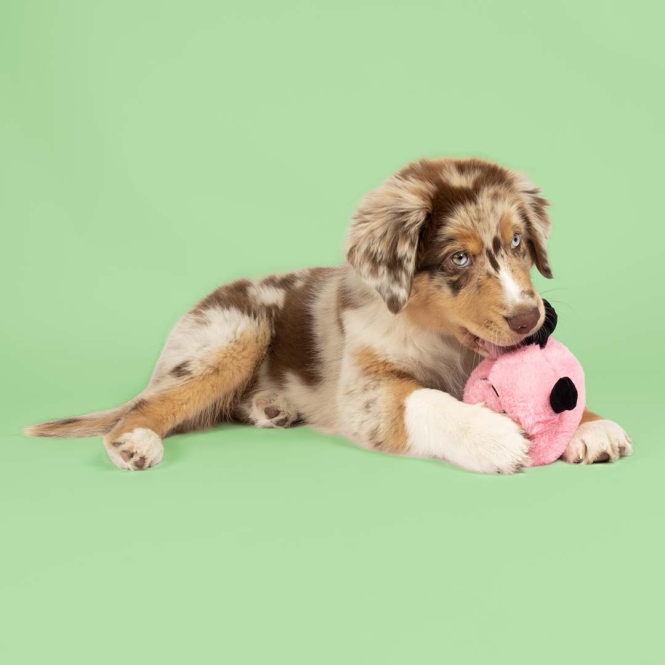 Coockoo Hundespielzeug Bouncy Buddy - rosa – Bild 4