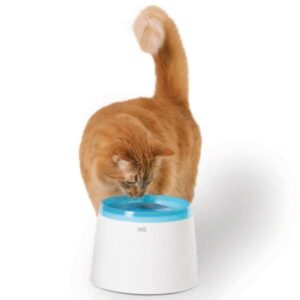 CATIT Fresh+Clear Trinkbrunnen 2 L - Blau