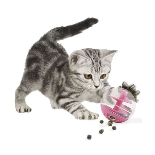 CATIT Snackball für Katzen oder kleine Hunde - Blau – Bild 2