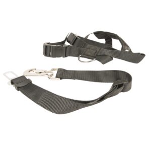 Duvoplus Auto Sicherheitsgeschirr - M - 50-75 cm