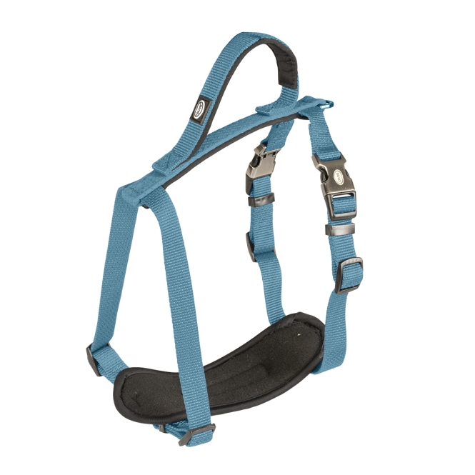 Duvoplus EXPLOR North Geschirr - Petrolblau - 50-65 cm/20mm