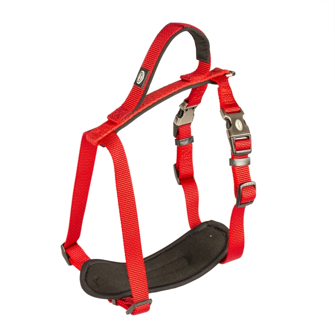 Duvoplus EXPLOR North Geschirr - Rot - 40-50 cm/15mm