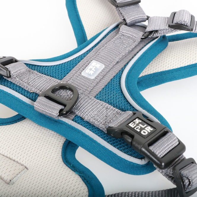 Duvoplus EXPLOR Ultimate Fit No-Pull-Geschirr - petrol blue - M - 40-49 cm - 49-65 cm – Bild 3