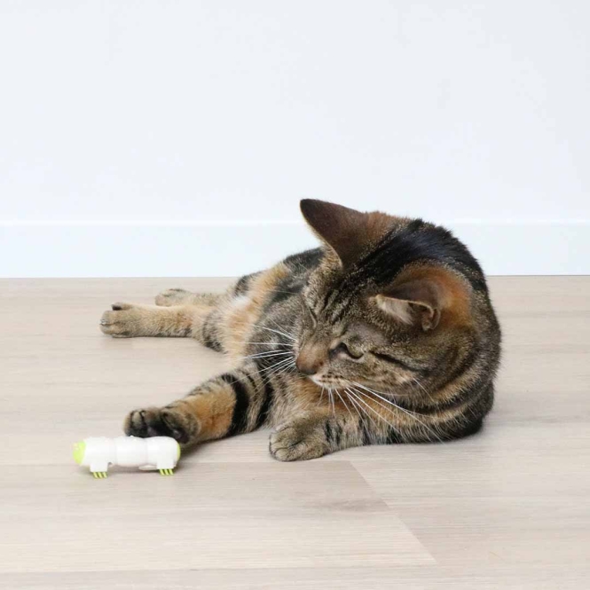 EBI Cat Toy Buzzing Caterpillar – Bild 2