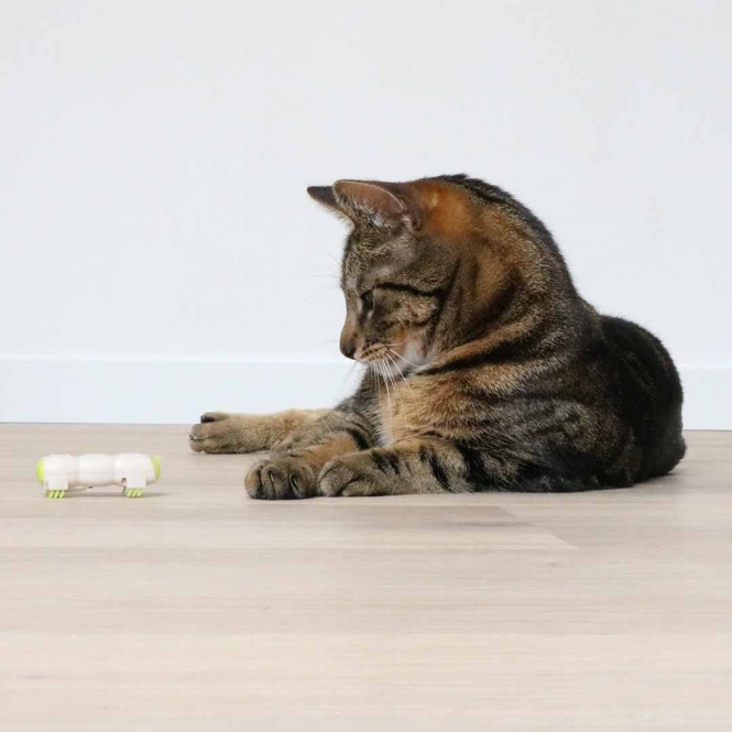 EBI Cat Toy Buzzing Caterpillar – Bild 3