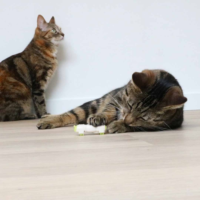 EBI Cat Toy Buzzing Caterpillar – Bild 4
