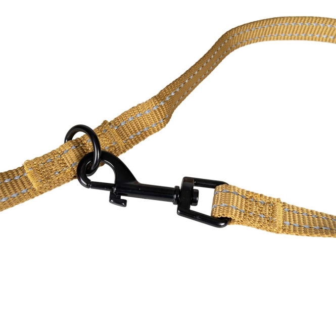 Duvoplus Trainingsleine EXPLOR Ultimate Fit Classic - honey gold - 220 cm - 25mm – Bild 2