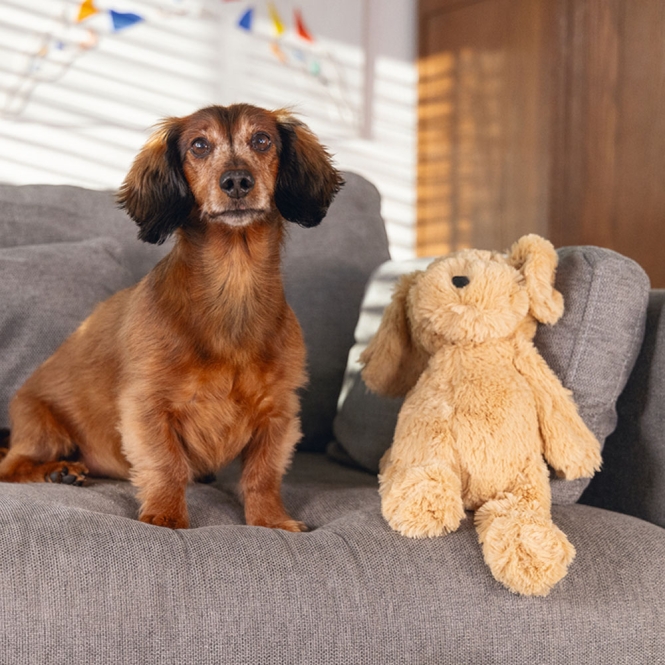 Beeztees Hundespielzeug Hund Vajen – Bild 2