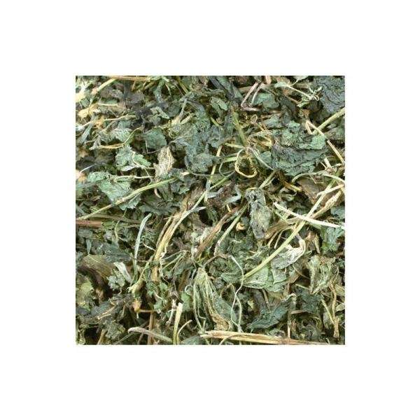 JR Farm Brennnessel 80 g – Bild 2