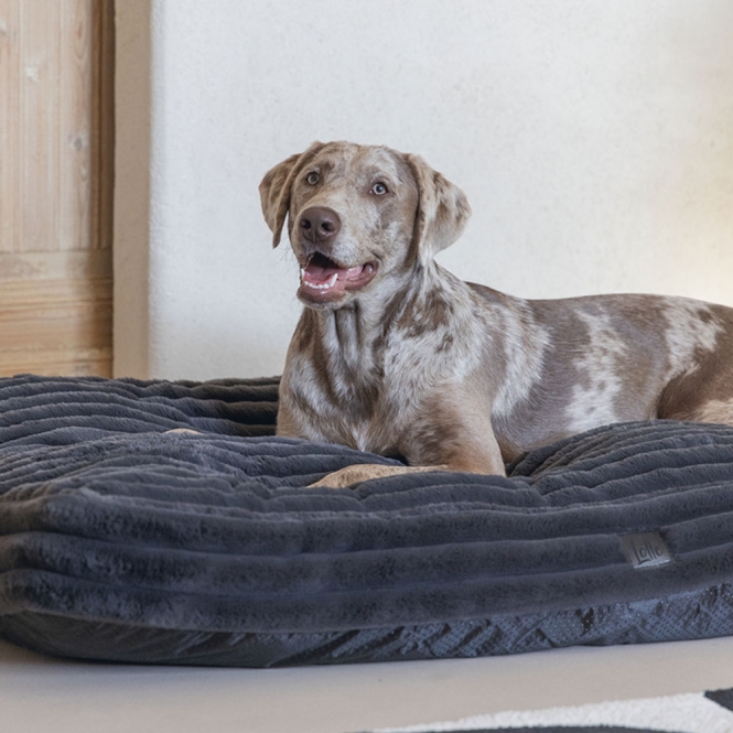 Designed by Lotte Hundekissen Reza - Anthrazit - 120 x 80 cm – Bild 2