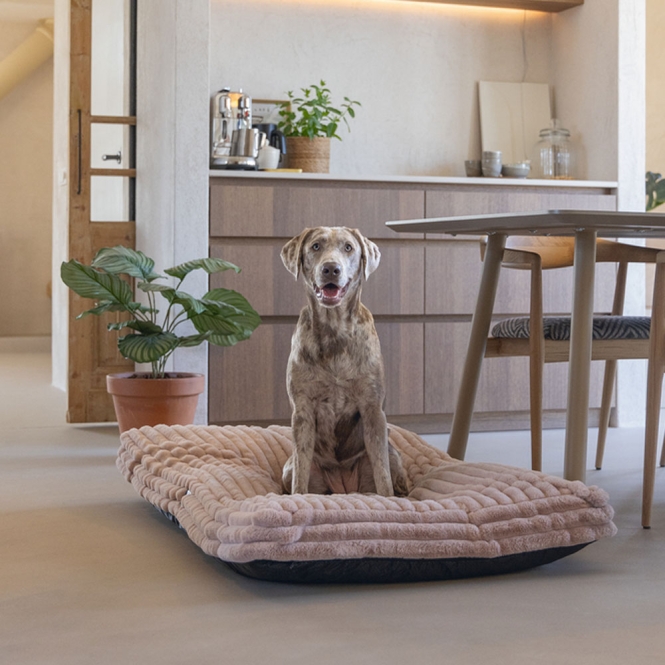 Designed by Lotte Hundekissen Reza - Rosa - 120 x 80 cm – Bild 2