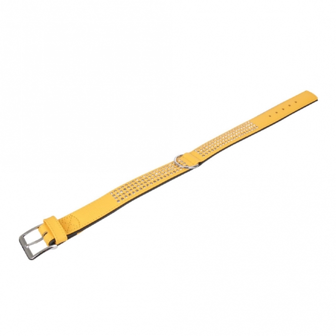 Karlie Vintage Strass Halsband - Mimosa - 1-reihig, 27 cm/10mm – Bild 3