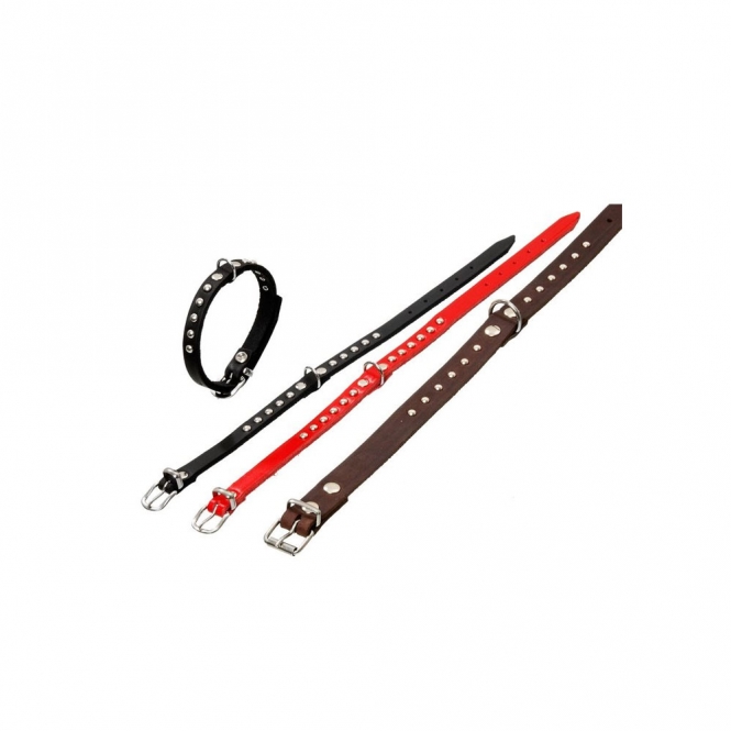 Karlie RONDO Halsband mit Ziernieten - Rot - 27 cm / 10mm
