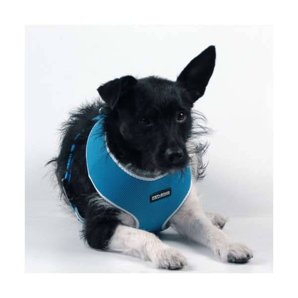 Pet-Star Softgeschirr / Netzgeschirr - Blau - XL – Bild 2